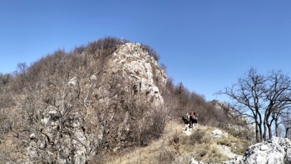 oplus_2