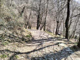 oplus_2
