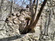 oplus_2