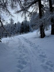 Poco sopra la partenza 