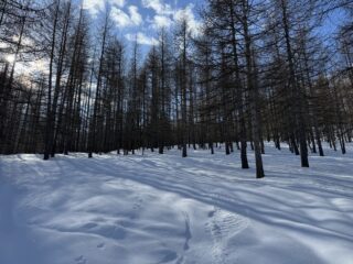 Appena sopra Crosetto 