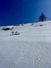 E qualche bella curva in basso! 