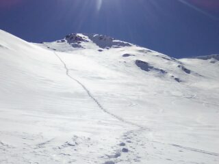 Visto da sotto (in farina compressa)