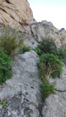 L2 e il suo strapiombino viste da S1