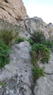 L2 e il suo strapiombino viste da S1