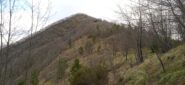 Salita di cresta verso il Monte Frascinello (m.1118)