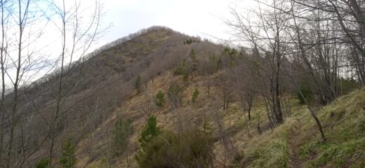 Salita di cresta verso il Monte Frascinello (m.1118)