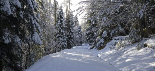 La strada tra un ambiente magico 