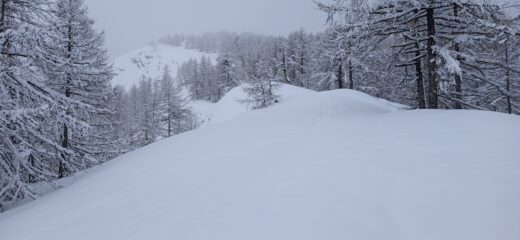 Sul costone del Pian del Manzo 