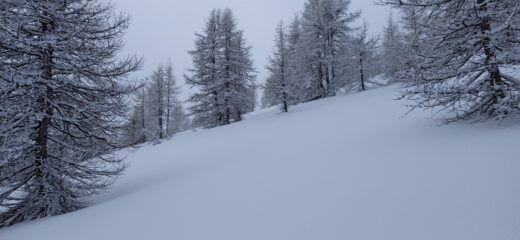 Salita sotto il crinale 
