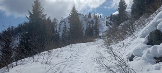 La strada