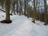 Verso il Colle della Dieta, sentiero  204B