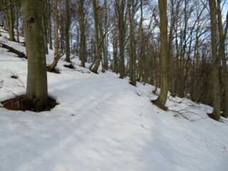 Verso il Colle della Dieta, sentiero  204B