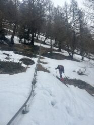 Il secondo bosco, neve scarseggia