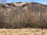 Il Mottarone visto dal Monte Mazzarone