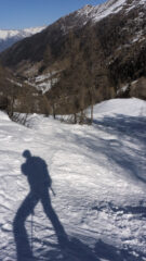 Fuori dal bosco
