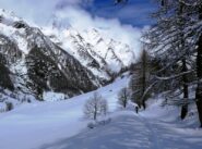 L'inverno a primavera...