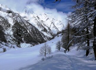 L'inverno a primavera...