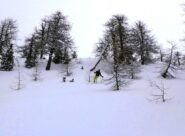 Parte alta su farina discreta