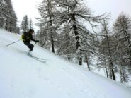 Verso la metà inferiore del lariceto