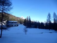 Salendo nel bosco, con lo Chaberton che fa capolino.