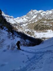 boschina parte bassa