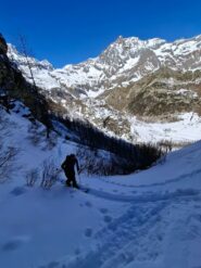 boschina parte bassa