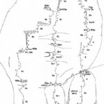 Mombi è la linea centrale