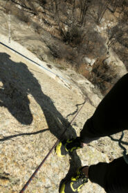 Verticalità assoluta