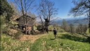 alpe valmaggiore