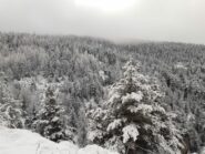 Neve fresca