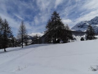 Leggere velature