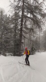 In discesa sotto una fitta nevicata