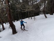 Si sale nel bosco