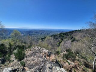 panoram dalla meis