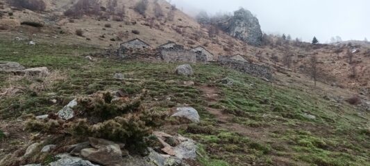 Alpe Paglia inf.