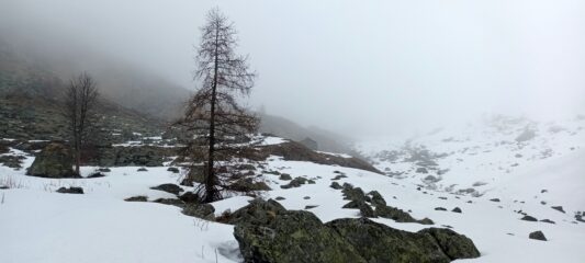 Alpeggi Paglia sup.