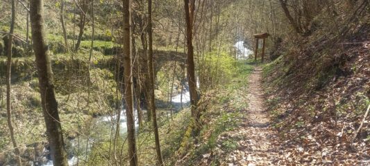 Ponticello nel Bosco