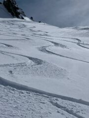 belle pennellate nel pendio sotto il Sigaro (foto di Luca)