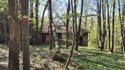 cascina incise