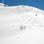 Le nostre firme si aggiungono a quella già presente