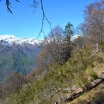 Dai pressi di Cima Tiriol.