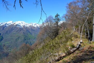 Dai pressi di Cima Tiriol.