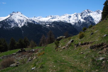 Da L’Arp la cresta dal Col de Panaz verso il M. Avic 