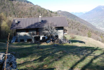 A Gimiod