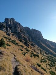 oplus_32