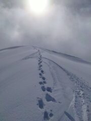 Prime curve dalla cima