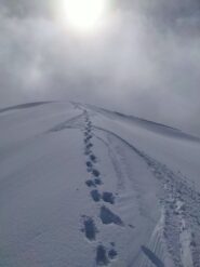 Prime curve dalla cima
