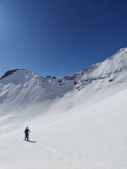 oplus_1048608