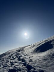 Sulla strada per l’alpeggio